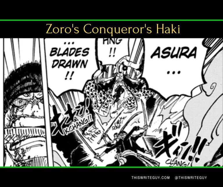 Zoro Asura vs Kaido Advanced Conquerors Haki | One Piece 1010